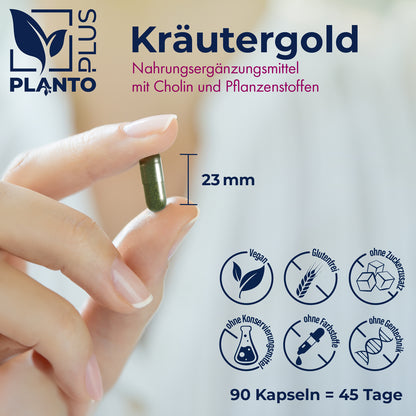 Kräutergold Leberkomplex Kapseln mit Cholin - 90 Stück